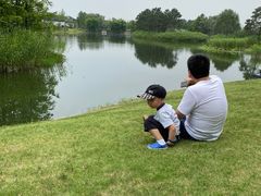 -白鹭湾湿地公园