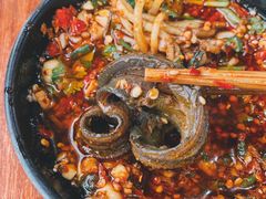 鳝鱼-牛华八婆麻辣烫(起源店)