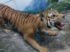 -国家自然博物馆