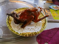 -麻奢鸽农庄·梦里水乡