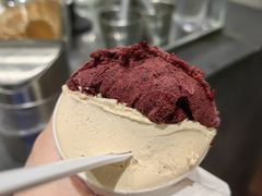 -Dip in Gelato(富民路店)