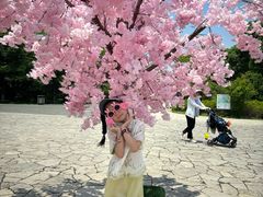 -苏州太湖国家湿地公园