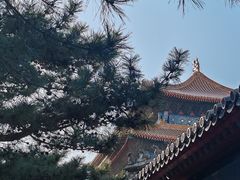 -故宫博物院(故宫)