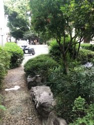 -苏州大学附属儿童医院(景德路院区)