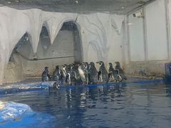 -太平洋海底世界