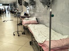 -上海中医药大学附属曙光医院(东部)