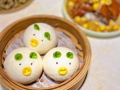 -点都德·毕德寮