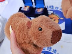 -汉长安城未央宫国家考古遗址公园