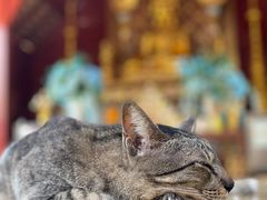 -帕辛寺