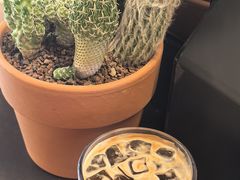 冰美式-ommo cafe(半岛城邦店)
