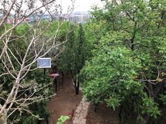 景点-老山城市休闲公园