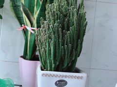 -绝味鸭脖(双龙路店)