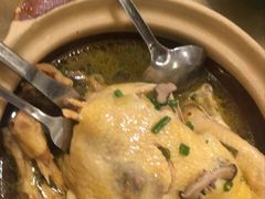 散养童子鸡-罗阳人家私房菜(罗阳路店)