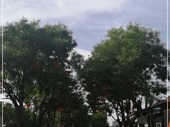 -大雁塔北广场音乐喷泉