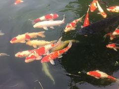 -湖鲜楼