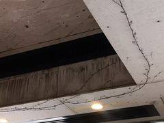 -来回·咖啡(天河南店)
