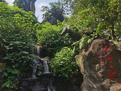 -海口火山口国家地质公园