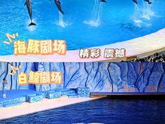 -珠海长隆海洋王国