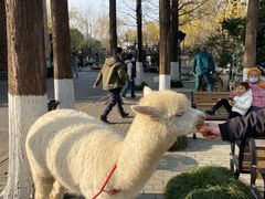 -金庭庄园酒店-停车场