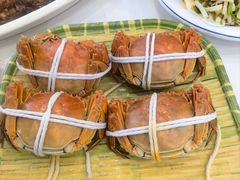 -蟹天蟹地农家菜·阳澄湖大闸蟹(浅水湾店)