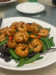 -上海雅居乐万豪侯爵酒店·宴会厅