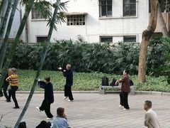 -晓港公园