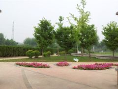 景点-郑州植物园