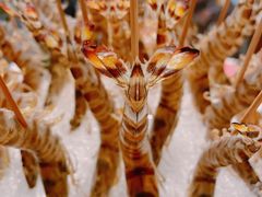 -金筷子西北菜·捞悦火锅