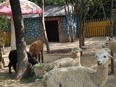 -渭南桃花源民俗文化园