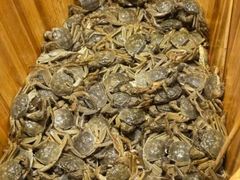 -初色海鲜自助(万丰路店)