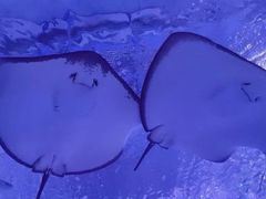 -海合安武汉极地海洋公园