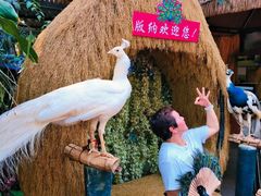 -西双版纳勐泐文化旅游区