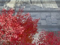 -苏州现代传媒广场商业