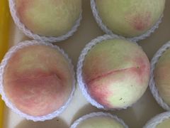 -老袁家蜜桃农场·阳山水蜜桃