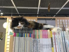 -小时光咖啡馆(开森度假森林店)
