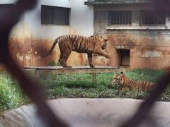 -昆明动物园
