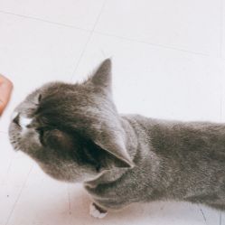 -Pink You美甲美睫纹绣定制中心