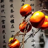 重庆旅游|三站式热门景点打卡