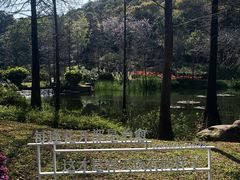 -云溪植物园
