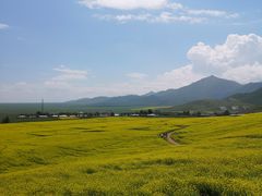 -扁都口生态休闲旅游区