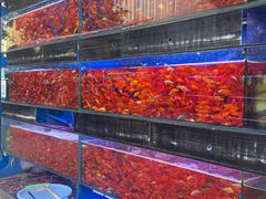 -青石桥花鸟鱼虫市场(叠翠城店)