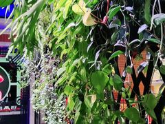 -嗨度KTV(万达店)