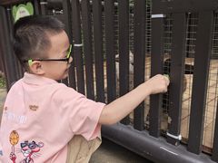 -熊猫自助餐厅.萌趣城堡(长隆熊猫酒店)