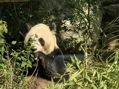 -石排湾郊野公园