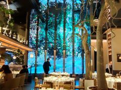 -桂满陇·海市蜃楼·黑金(国金店)