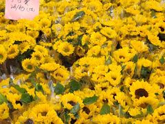 -循礼门鲜花花市(武汉循礼门店)