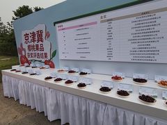 -北京凤凰岭