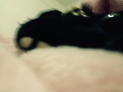 -木兰围场
