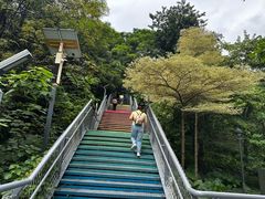 -佛山华盖山公园