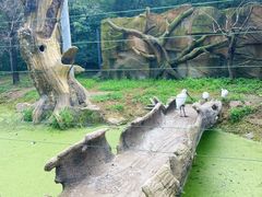 -沈阳鸟岛